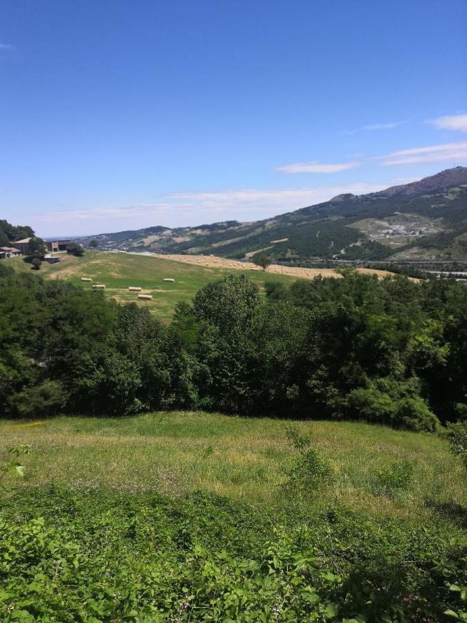B&B Demetra Solignano Dış mekan fotoğraf
